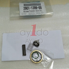 AYIDO MINIMUM PRESSURE VALVE 2901139900